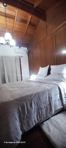 un grande letto in una camera con soffitto in legno di VICTORIA bed and breakfast a Ezeiza