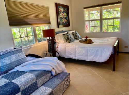 ein Schlafzimmer mit einem Bett, einem Sofa und Fenstern in der Unterkunft Los Mangoes in Hopkins