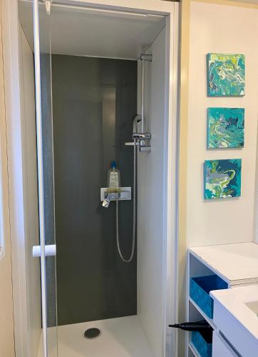 une douche avec une porte vitrée dans une salle de bain dans l'établissement La Paillote de Claire, à La Roque-dʼAnthéron