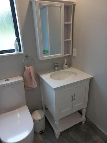 a bathroom with a white sink and a toilet at Cute, new two bedroom cottage with shared pool in Cambridge