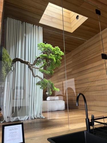 The Ryokan - Zen في سيدني: منزل فيه شجرة في غرفة مع نافذة