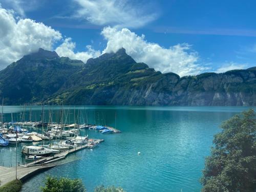Ein Haufen Boote, die an einem Yachthafen mit Bergen angedockt sind. in der Unterkunft Holiday On The Lake Lugano 6 in Bissone