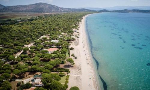 an aerial view of a beach with trees and the ocean at Marathon VS LUXURY VILLA in Grammatiko
