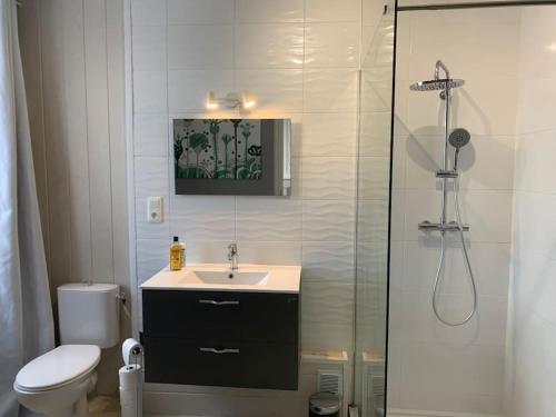 a bathroom with a toilet and a sink and a shower at Appartement charmant et cosy in Saint-Estèphe