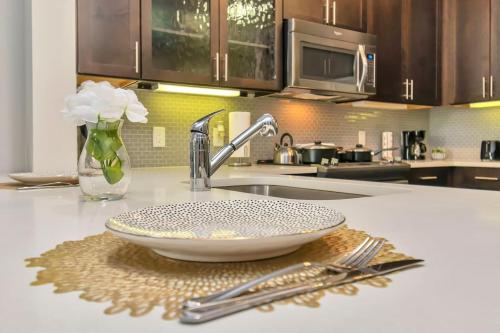 a kitchen counter with a plate and a sink at U2 penthouse Downtown Houston WI-FI/free parking in Houston