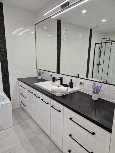 baño con lavabo y espejo grande en Apartament Mountains Góry Sowie, en Jugów