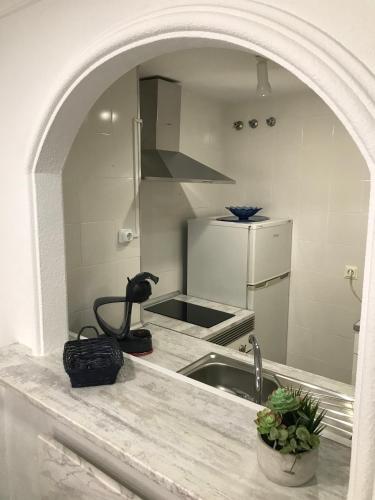 a kitchen with a sink and a counter top at Apartamentos Laguna Beach in Torrox Costa