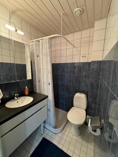 a bathroom with a toilet and a sink at Luonto Lähellä Residence in Vantaa