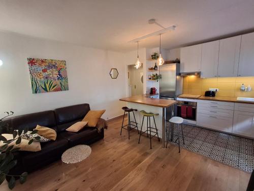 un salon avec un canapé et une cuisine dans l'établissement Nid douillet cœur de ville, à Tours