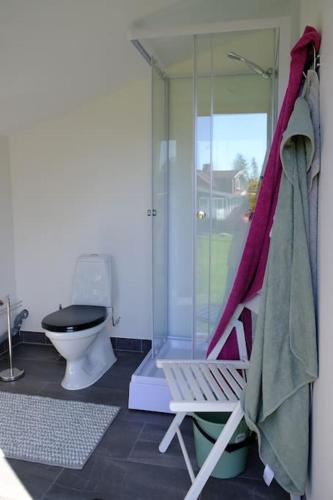 a bathroom with a toilet and a chair and a shower at Den lilla Stuga, Ivarsbygget in Lammhult