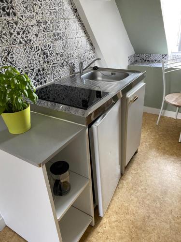 une cuisine avec un évier et un lave-vaisselle dans l'établissement Studio, au cœur de St pierre sur dives, à Saint-Pierre-sur-Dives