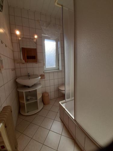 a bathroom with a shower and a sink and a toilet at Ferienwohnung 2 Füssel in Reinhardtsdorf