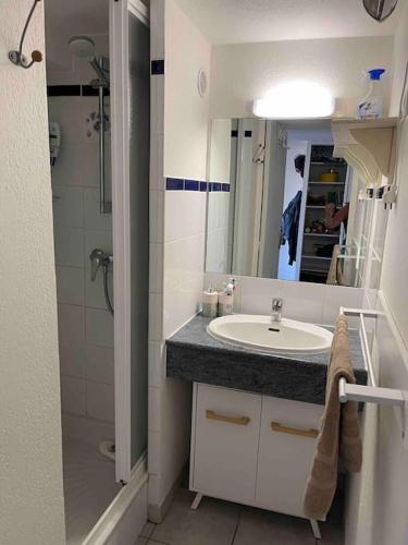 une salle de bain avec un lavabo, une douche et un miroir dans l'établissement Beau et vaste T3 proche port et plage, au Cap d'Agde
