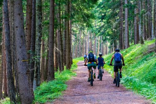 a group of people riding bikes down a forest trail at Lelis Alpenloft - Bergchalet in Halden in Mittelberg