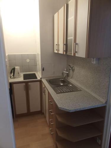 a kitchen with a sink and a counter top at Soukromé ubytování 1 in Zlín