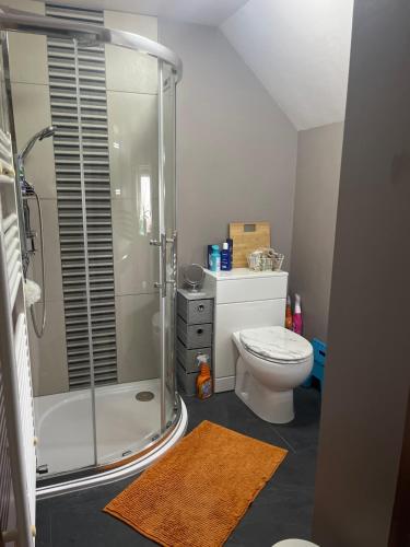 a bathroom with a shower and a toilet and a sink at Cozy single room in private home in Dagenham