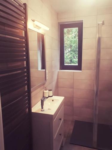 a bathroom with a sink and a shower at Apartament Roztoki 4a in Rabka-Zdroj