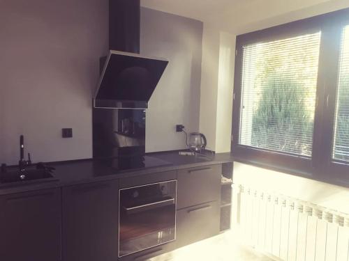 Kuchyň nebo kuchyňský kout v ubytování Apartament Roztoki 4a