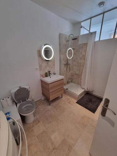 une salle de bain avec toilettes, douche et lavabo dans l'établissement Joli 2 pièces centre historique de Grasse, CLIM ET WIFI, à Grasse