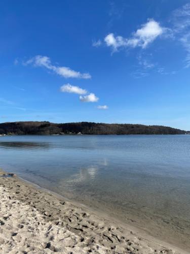 a body of water with a sandy beach and trees at Strandliebe - Beach Apartment mit Meerblick in Harrislee