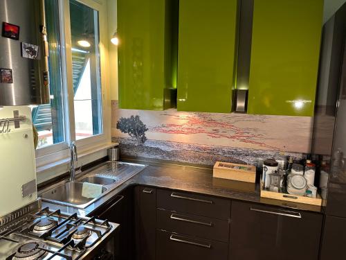 a kitchen with green walls and a sink and a stove at La Casina ad Antignano in Livorno