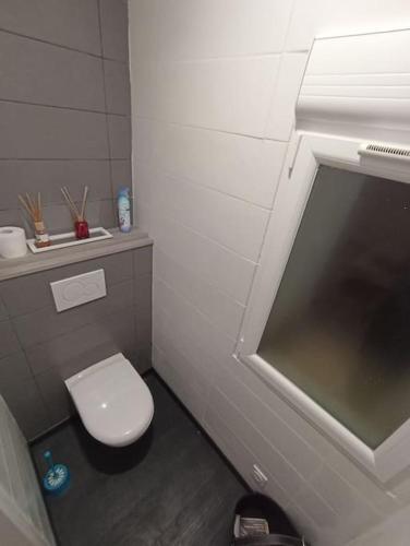 une petite salle de bain avec toilettes et lavabo dans l'établissement Superbe appartement rénové à neuf centre bourg, à Brem-sur-Mer
