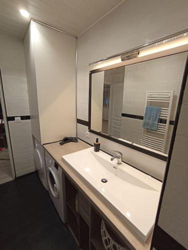 une salle de bain avec un lavabo et un grand miroir dans l'établissement Superbe appartement rénové à neuf centre bourg, à Brem-sur-Mer