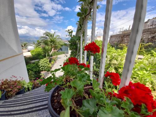balkon z czerwonymi kwiatami w garnku w obiekcie Vila Marjana w Sarandzie
