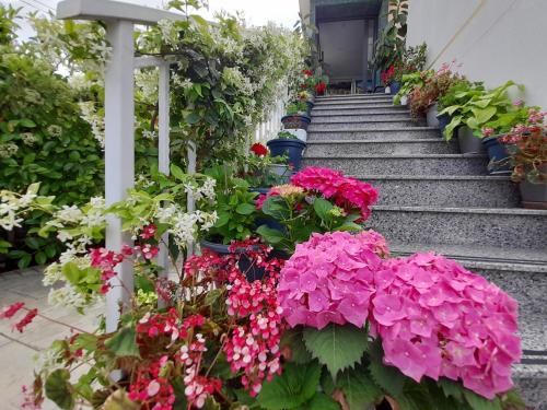 una escalera llena de flores y plantas en Vila Marjana en Sarandë