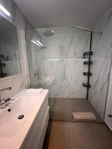 une salle de bain avec douche et lavabo dans l'établissement Provence deux chambres & jardin, à Antibes
