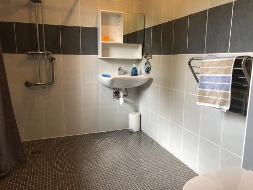 a bathroom with a sink and a shower at Gite Ô pré in Beaubec-la-Rosière