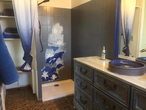 La salle de bains est pourvue d'un lavabo et d'une douche. dans l'établissement Albizia, à Vernet-les-Bains