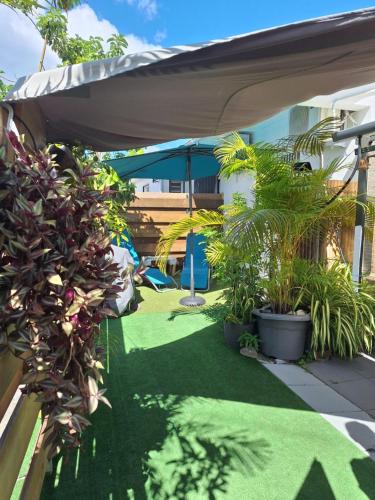 a patio with a lawn with plants and an umbrella at RÊV BOR D'MER in Étang-Salé les Bains