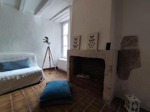 un salon avec un canapé et une cheminée dans l'établissement Appartement Blois centre ville, à Blois