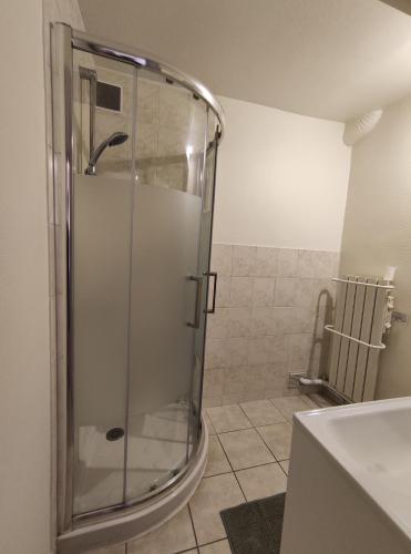 une douche avec une porte vitrée dans une salle de bain dans l'établissement Appartement Blois centre ville, à Blois