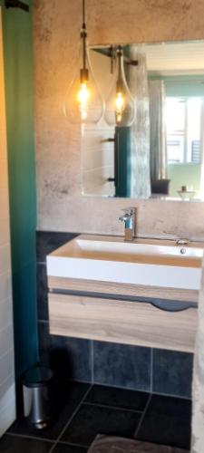 a bathroom with a sink and a mirror at Mosswood Bed & Breakfast in Graskop