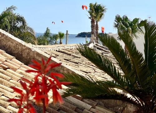 a red flower in front of a wall with palm trees at Albaria in Birgi Vecchi