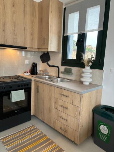 a kitchen with wooden cabinets and a sink and a stove at Anemar Lefkada in Drymon