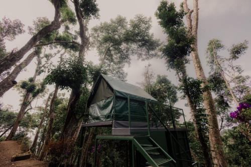 une cabane dans les arbres au milieu de quelques arbres dans l'établissement Wonderwoods Tent Camping Munnar, à Munnar