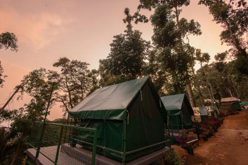 eine Gruppe grüner Zelte mit Bäumen im Hintergrund in der Unterkunft Wonderwoods Tent Camping Munnar in Munnar
