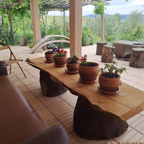 a wooden table with potted plants on top of it at Le Chêne d´Azrou in Azrou