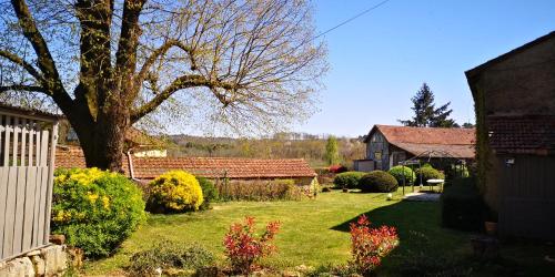 une cour avec un arbre et une maison dans l'établissement La Petite Croisée Verte, à Veyrines-de-Vergt