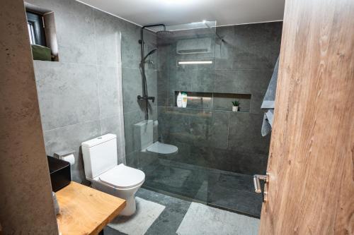 a bathroom with a shower with a toilet and a sink at Mont Blanc in Rîmeţi