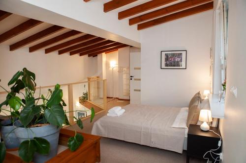 a bedroom with a bed and a potted plant at Apartamenty Jeziorna 40 in Charzykowy