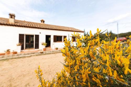a house with yellow flowers in front of it at Casa ridente in Arzachena