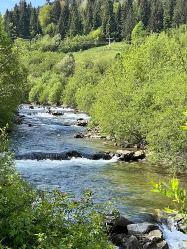 a river with rocks and trees in a field at Jamy House in Habovka