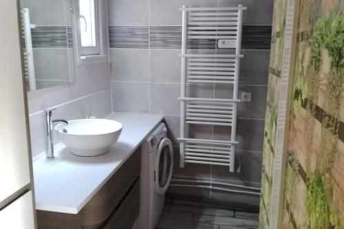 une salle de bain avec un lavabo et une machine à laver dans l'établissement Gîte à la campagne avec étang de pêche, à Amplier