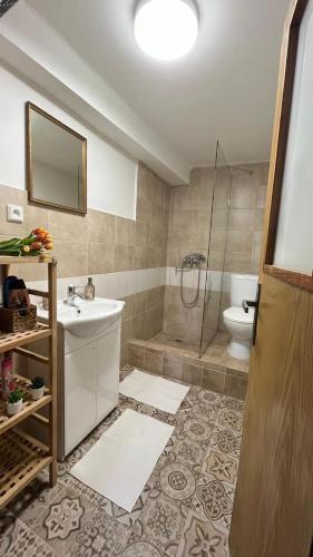 a bathroom with a shower and a sink and a toilet at Chalupa Komorský mlýn Holčovice in Stará Komora