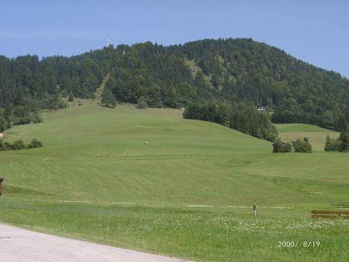 a person standing in a green field with a hill at Gästehaus Sonnenbichl in Reit im Winkl