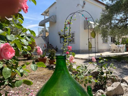 Zahrada ubytování B&B Villa Méditerranée con parking space